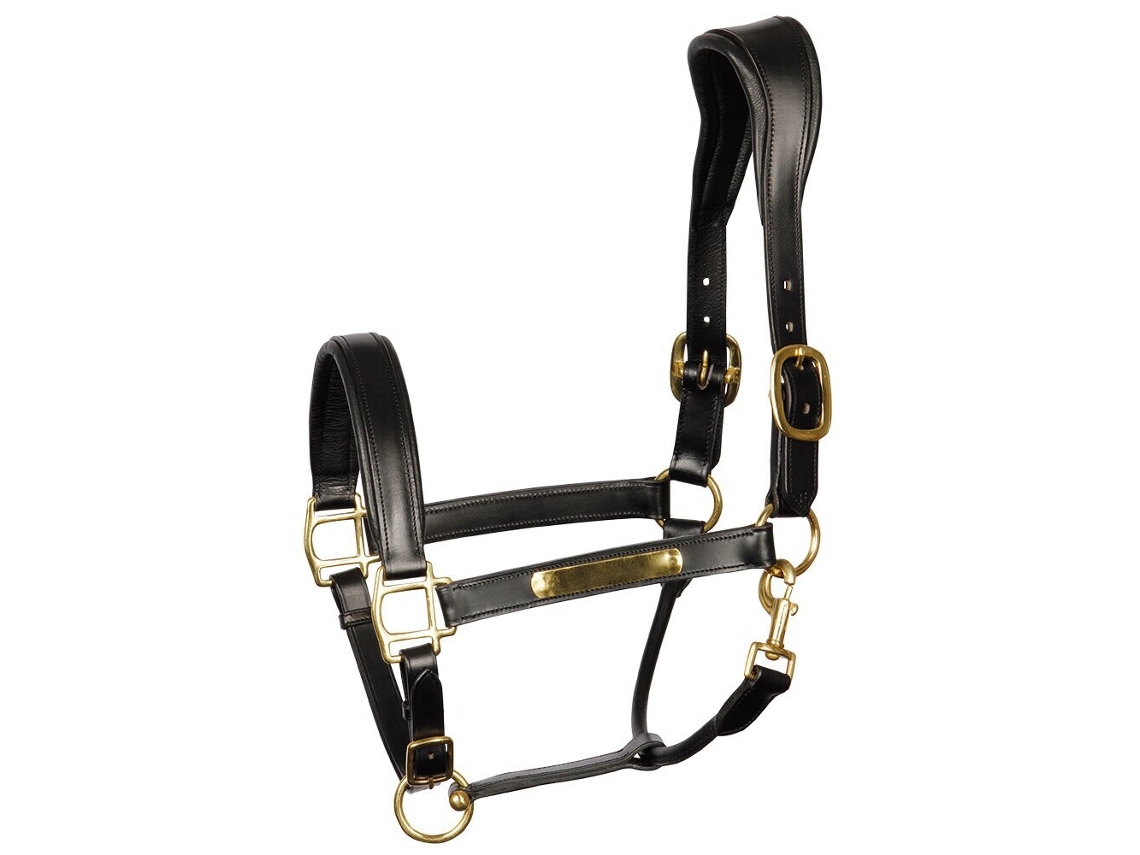 Cabeção HARRY'S HORSE Couro
