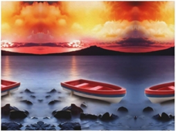 Colcha de Flanela Vermelha com Estampa Barco Pesca Macia e Quente Ideal para Sofá Quarto 203 2 X 152 4 Cm, Mac