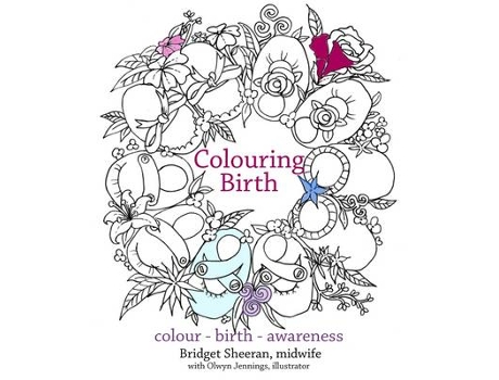 Livro preparing for birth de bridget sheeran (inglês)