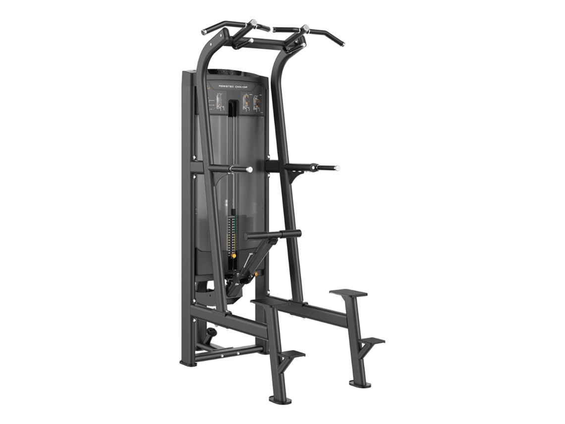 Assisted Pull Up/chin Up/ Toorx Dip Plx-8400