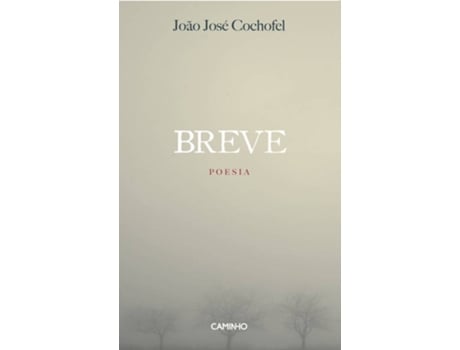 Livro Breve de Joao Jose