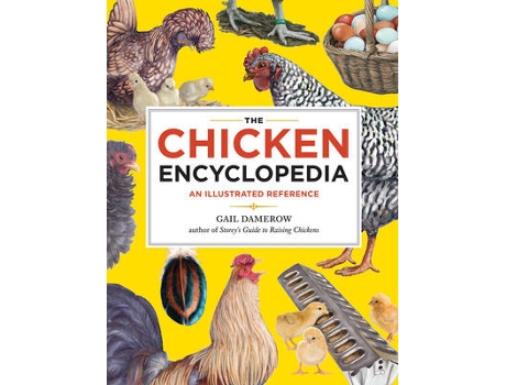 Livro chicken encyclopedia de gail damerow (inglês)