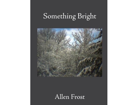 Livro Something Bright De Allen Frost (inglês)