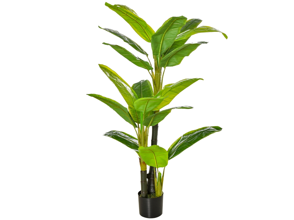 Bananeira 150cm Vaso Plástico Interior Exterior VOLTEDGE