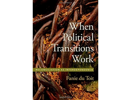 Livro When Political Transitions Work de Fanie Du Toit (Inglês - Capa Dura)
