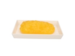 Modelo De Tecido Gordo Humano 1lb Réplica De Gordura Corporal Para Cursos De Nutrição E Ciência