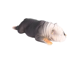 Modelo De Bulldog Inglês Deitado Alta Simulação Brinquedo Animal Dorminhoco Presente Para Crianças 873