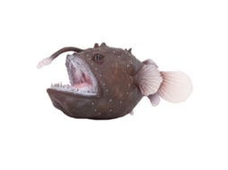Mali figura de Peixe Anjo Modelo de Animal Marinho Brinquedo Plástico para Coleção e Decoração de Escrivaninha