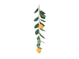 Lemon Simulation com 2 Frutas, 10cm de Diâmetro LAXISCREED
