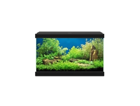 Aqua 20 Ciano Black - 17 litros - Kit com iluminação, filtro e consumíveis