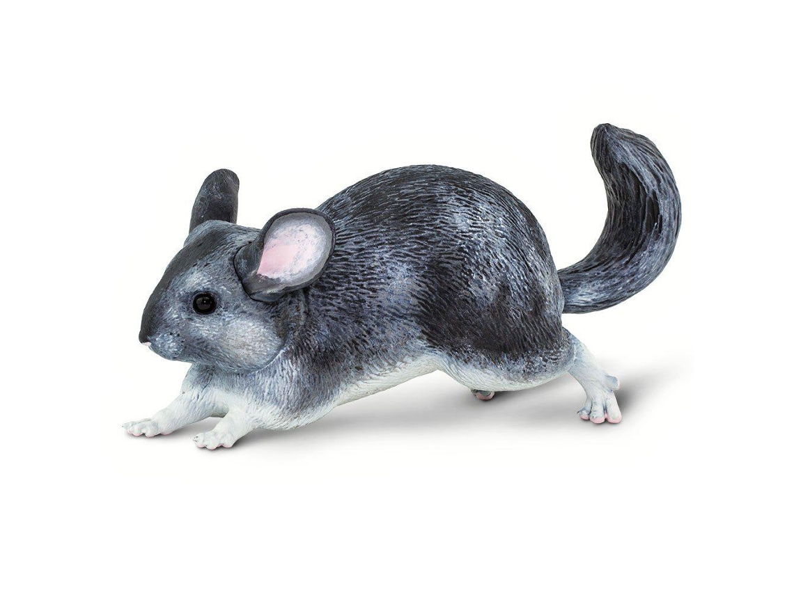 SAFARI Chinchilla