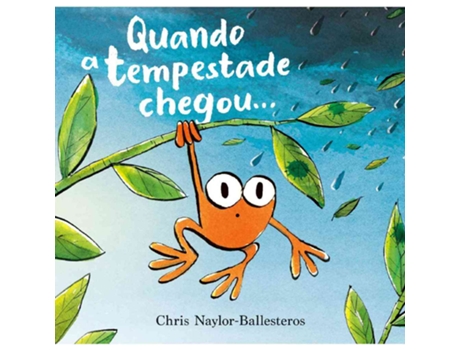 Livro Quando A Tempestade Chegou… De Chris Naylor-ballesteros De Chris Naylor-ballesteros (português)