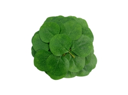 Ramos de Eucalipto Artificial Verde LAXISCREED