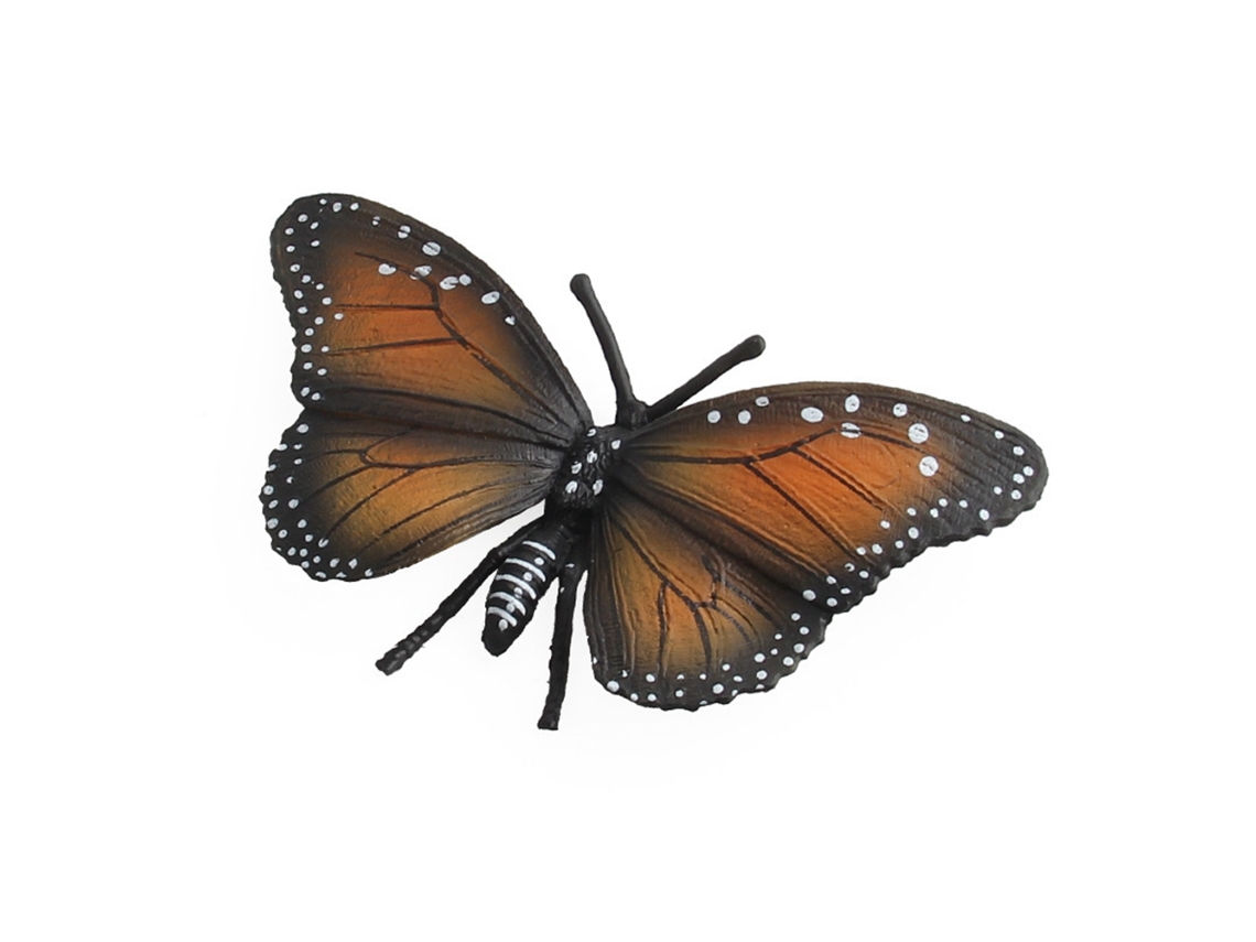 Walshlxq figura de Insetos Simulados de Plástico para Crianças Modelo de Animal Brinquedo Educativo