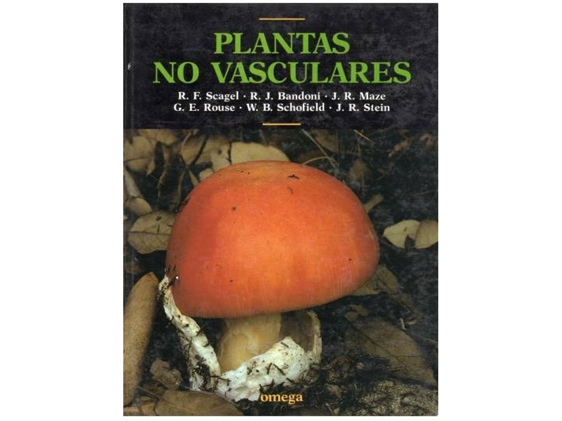 Livro Plantas No Vasculares (Espanhol)