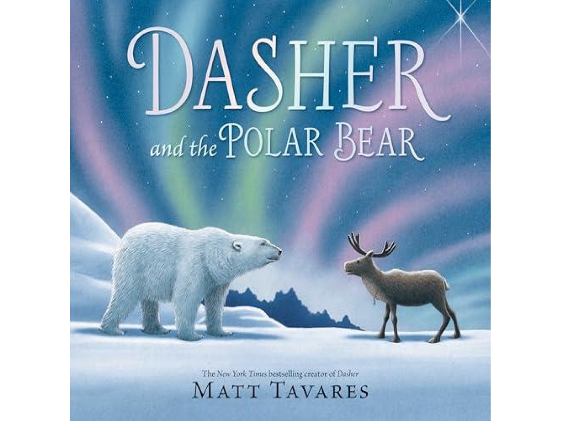Livro Dasher and the Polar Bear de Matt Tavares (Inglês)