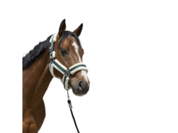 Cabeçada Cosy Verde Cobnorton Equestrian