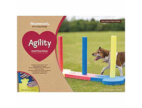Barreiras De Obstáculos Indoor Para Cães Difac Slalom Agility