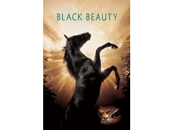 DVD Black Beauty, Inglês