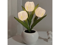 Luminária De Mesa Tulipa Com Vaso De Cerâmica,led Com Bateria,decoração Para Casa,sala,casamento E Presente Btforus