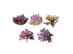 5 Unidades de Flores Suculentas Artificiais BRILVIBERA