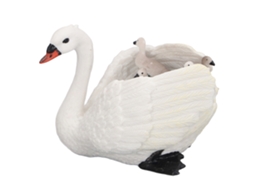 Mali 2pcs Boneca Ave Capela Modelo Animal Educativo Decorativo Pvc Brinquedo Infantil Pl127 1594