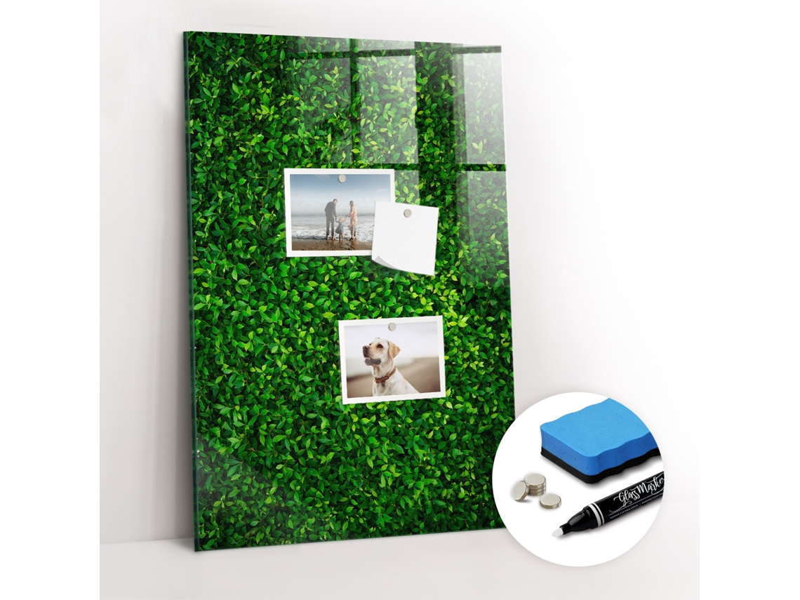 Quadro Magnético Colorido Cerca De Folhas De Plantas Para A Cozinha Espelharte (40x60 Cm)
