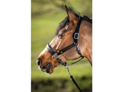 Cabresto de couro para cavalos HFI Two-Tone