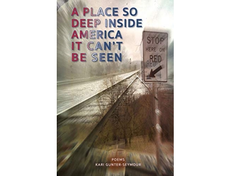 Livro A Place So Deep Inside America It Cant Be Seen Poems None de Kari GunterSeymour (Inglês)