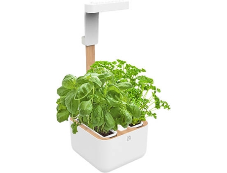 Planta Natural VÉRITABLE Eylo