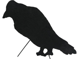 Silhueta EUROPALMS Crow (63cm)
