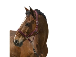 Cabeçada Satine Vermelho Ponynorton Equestrian