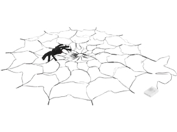 Teia De Aranha Iluminada Por Led Para Decoração De Halloween Em Ambientes Internos E Externos, Criando Uma Atmosfera Festiva.