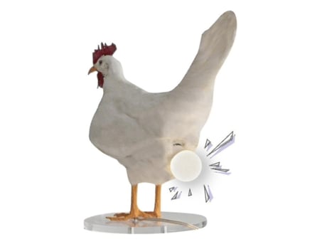 Candeeiro de led de frango candeeiro de mesa ovo de taxidermia candeeiro de mesa MLJSH