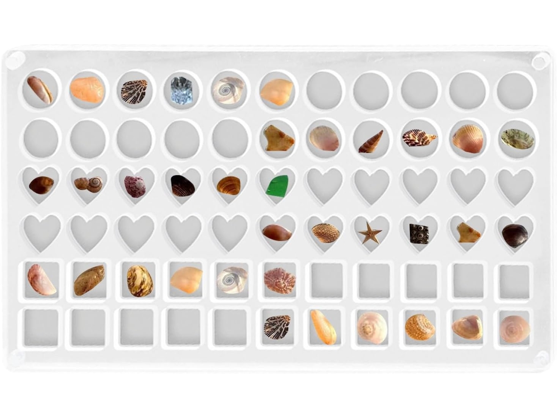 Elegante Recipiente Para Exibir Conchas E Nénulas.
