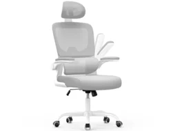 Cadeira de Escritório Ergonómica RACINGREAT com Suporte Lombar e Apoio de Braços Dobrável (Cinzento)