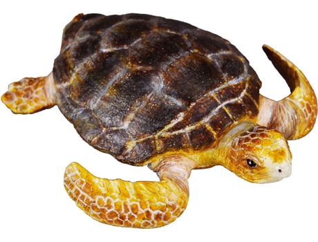 Figura  Tartaruga-Cabeçuda