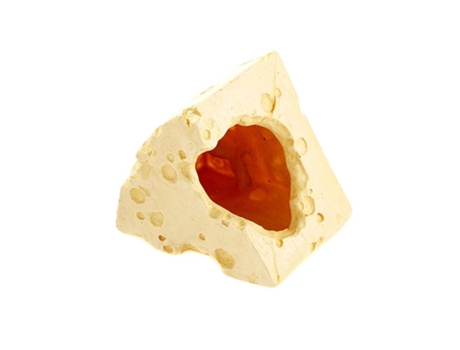 Decoração Aquário Cheese