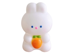 Ornamento Coelho Dinheiro Cute Cenoura Banco