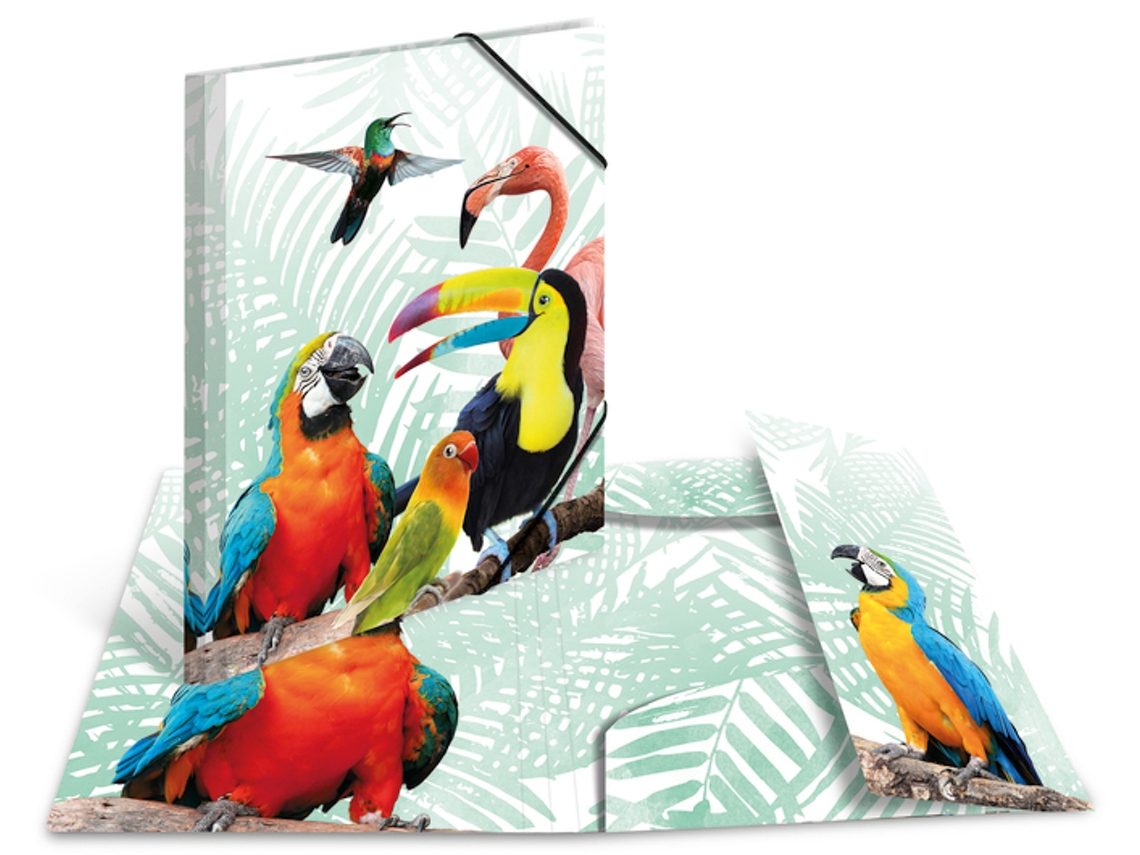 Pasta de Canto HERMA Animais Exóticos A4 Tropendique