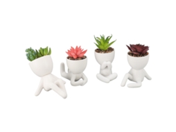 Plantas Succulentas Falsas Com Vasos Cerâmica Worten