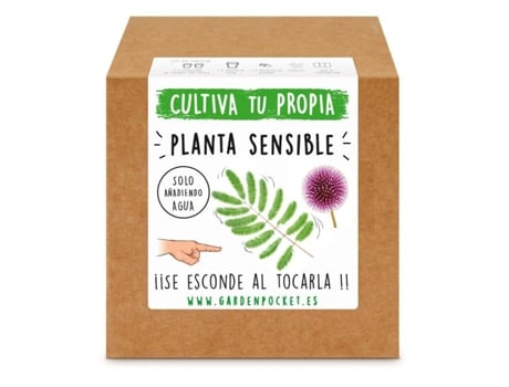 Kit Plantio Planta Sensível, Garden Pocket