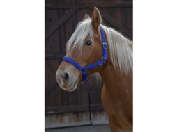 Cabresto de cavalo de tração Norton Pro