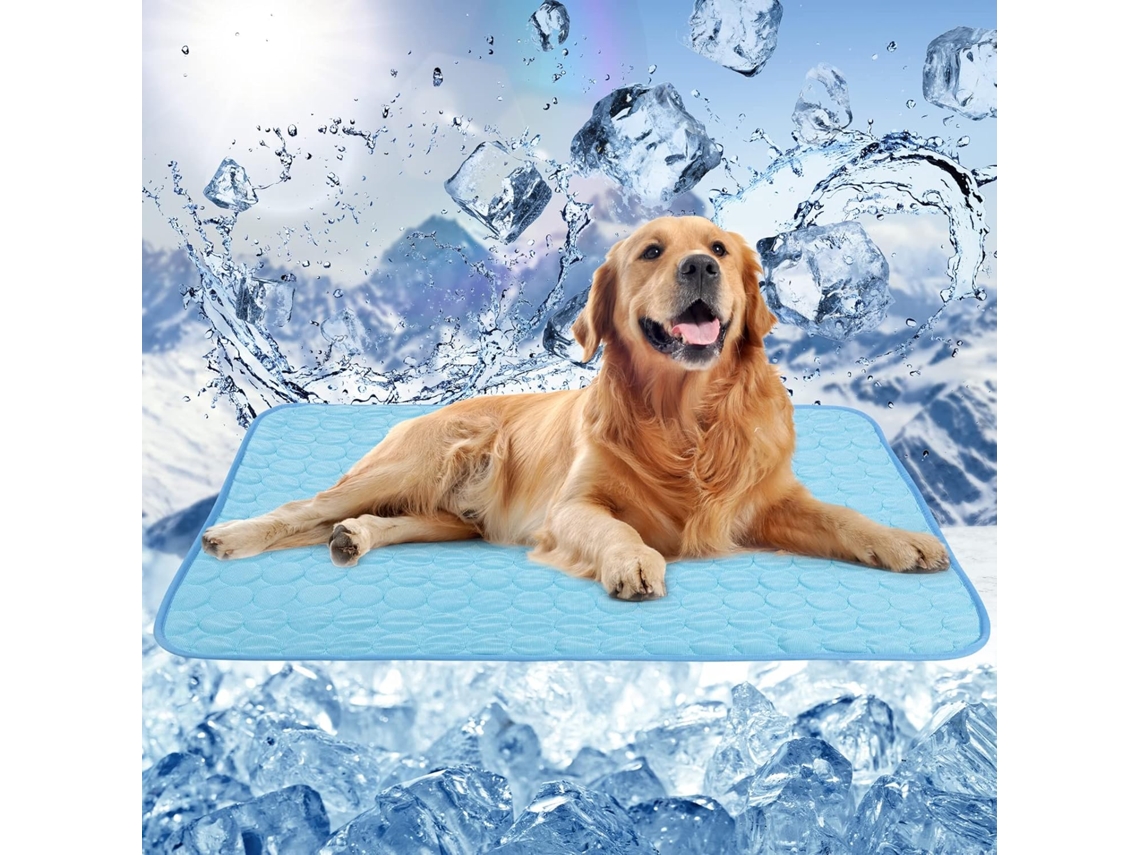 Tapete Refrescante, para Cães, Autorefrescante, 62x50 Cm AQUAFORGE