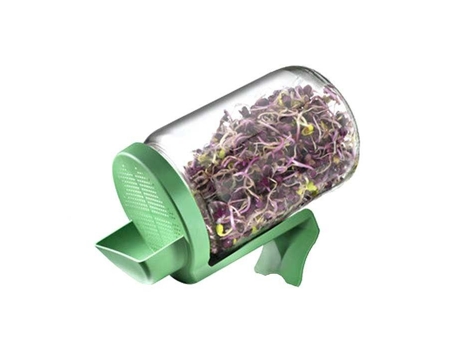 Frasco de germinação com suporte verde GermLine