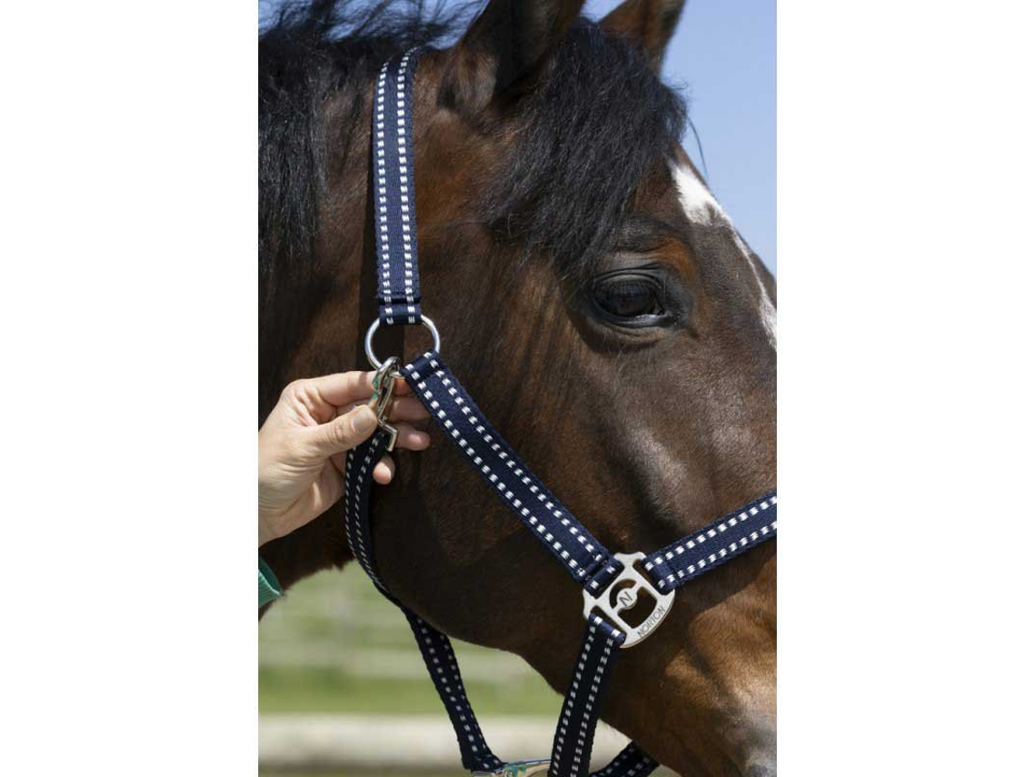 Cabeçada Grooming Azul Ponynorton Equestrian