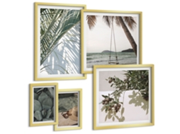 Conjunto De Pinturas Plantas Tropicais Relaxantes Espelharte (5 Peças)