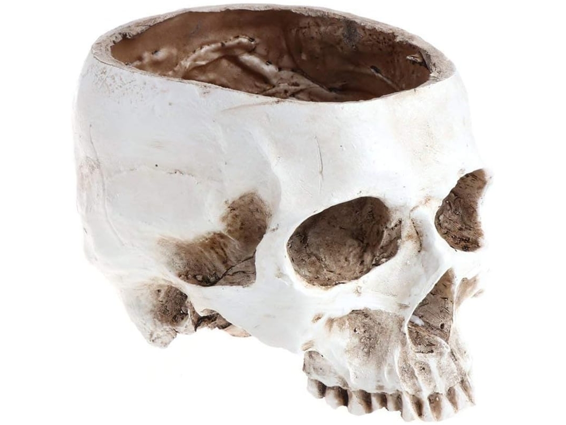 Vaso De Cacto Caveira Recipiente Pequenos Itens Chave Bola De Doces Decoração De Halloween
