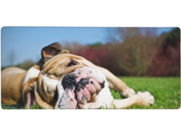 Bulldogs Ingleses, Cães Cansados, Animais de Estimação Jardim Mousepad Grande para Computador com Base Borrach
