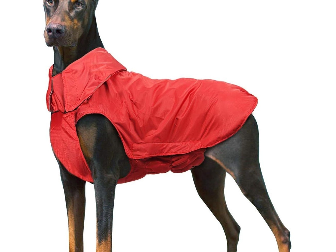 Capa De Chuva Canina, Impermeável